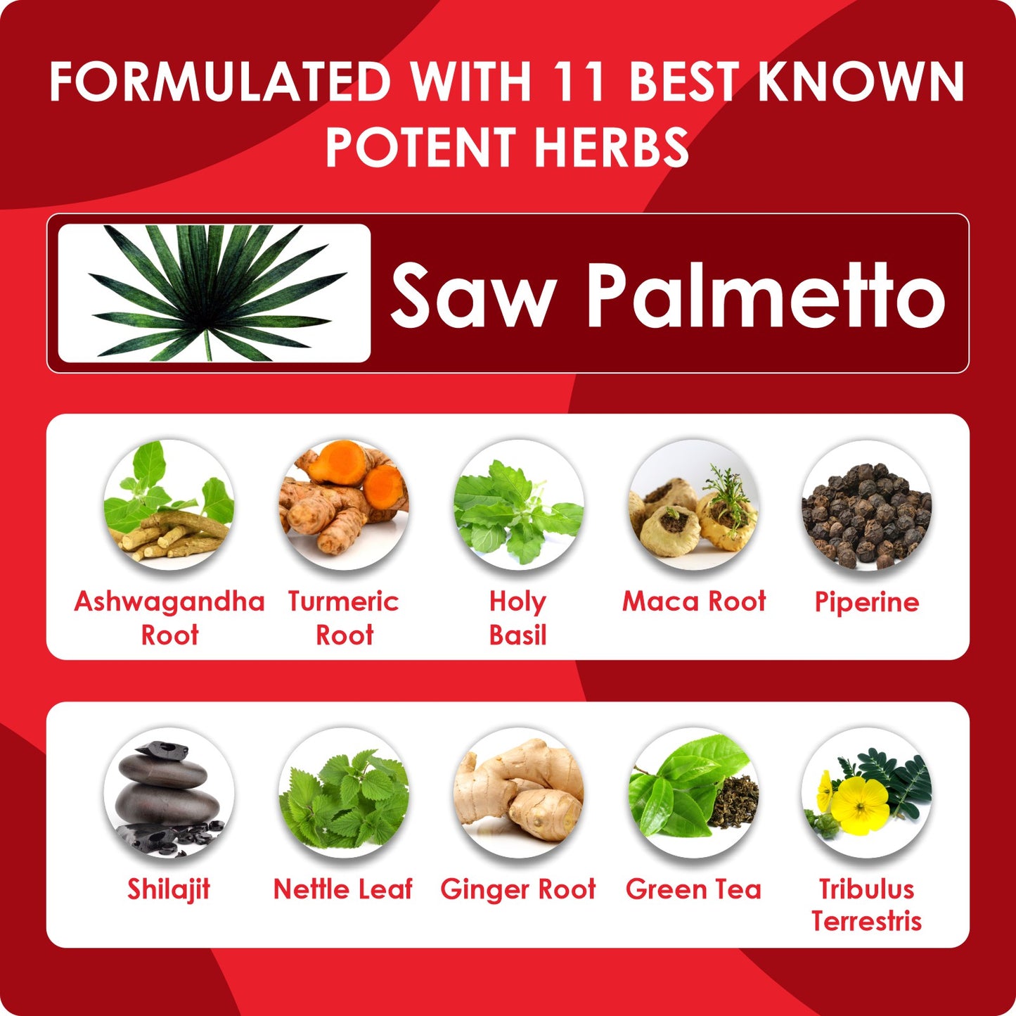 Saw Palmetto Extract Powder 90 Capsule