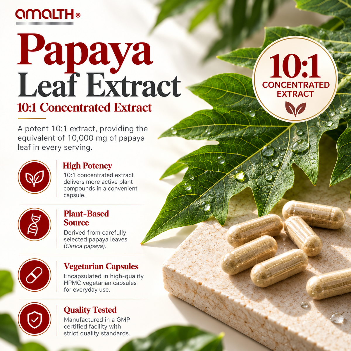 Papaya Leaf 10:1 Extract (Carica papaya), the ingredient in Amalth Papaya Leaf Extract