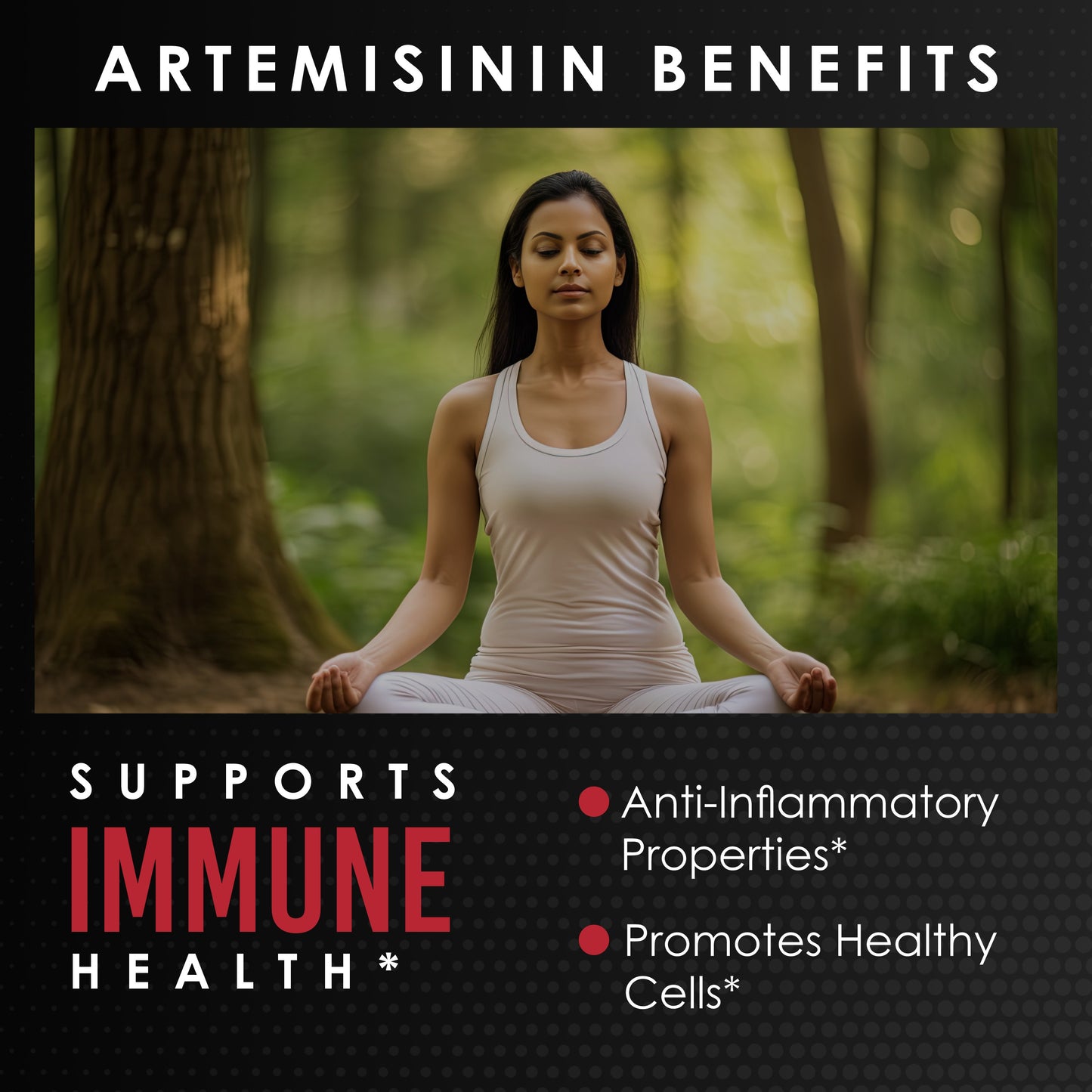 Artemisinin 95% + Piperine Extract 120 Capsules