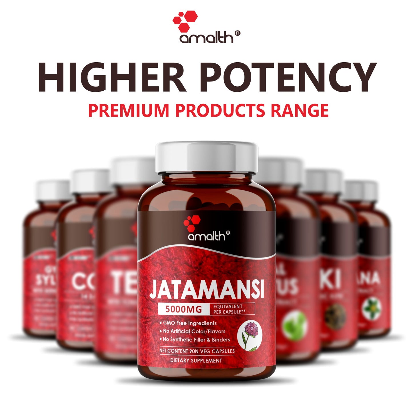 Jatamansi Extract Powder 90 Capsules