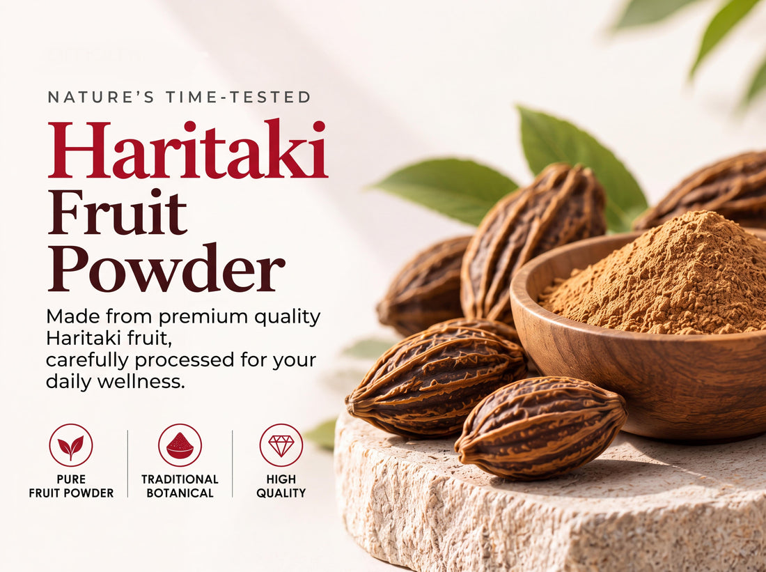 Haritaki fruit powder in a bowl with dried haritaki fruits