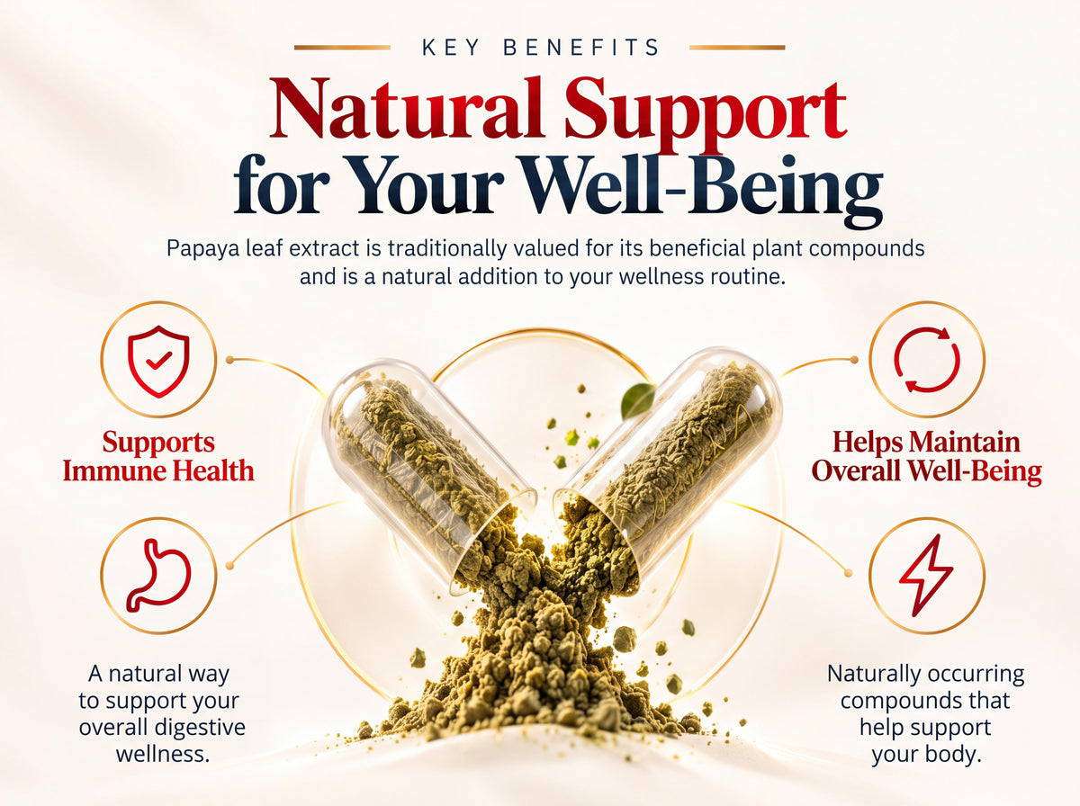 Papaya Leaf Extract Capsules 1,000mg (10:1) - 120 Veg Capsules | Carica Papaya