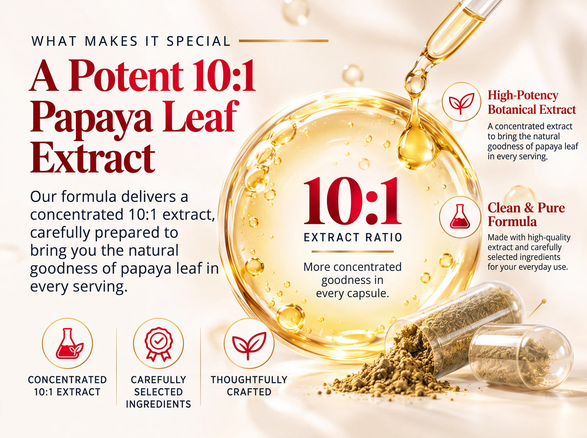 Papaya Leaf Extract Capsules 1,000mg (10:1) - 120 Veg Capsules | Carica Papaya