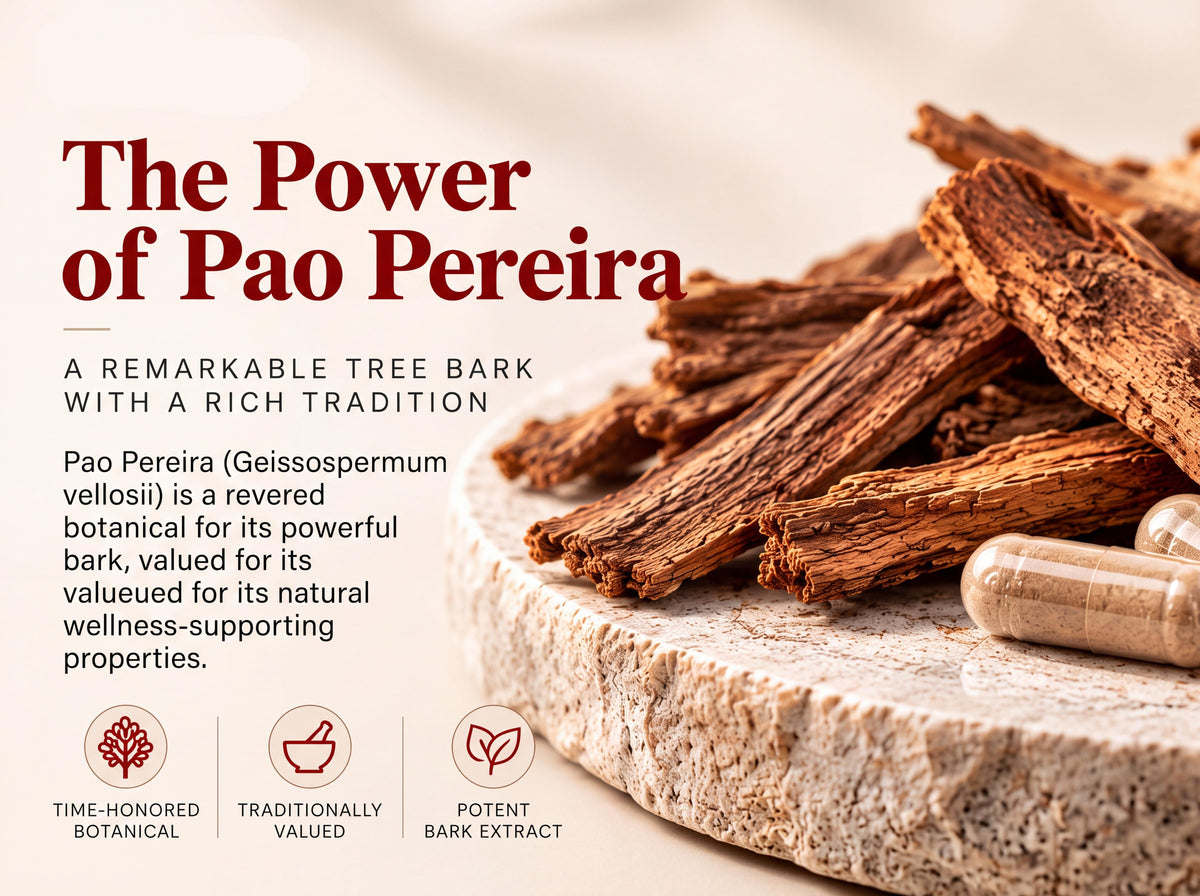 Pao Pereira Bark Extract 1,000mg (10:1) - 120 Veg Capsules | Geissospermum Vellosii