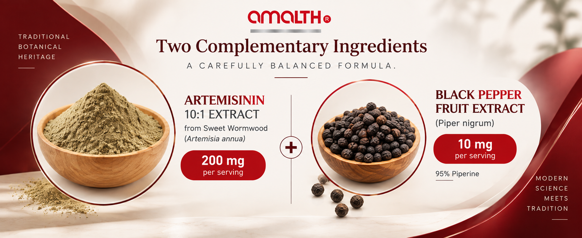 Sweet Wormwood (Artemisia Annua) Extract 200mg with Black Pepper - 120 Veg Capsules