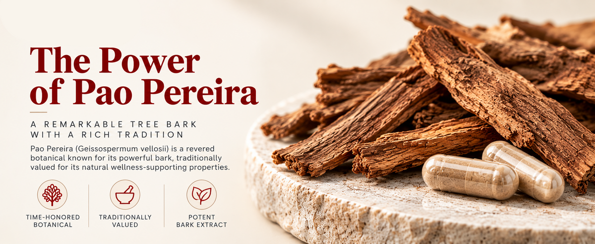 Pao Pereira Bark Extract 1,000mg (10:1) - 120 Veg Capsules | Geissospermum Vellosii