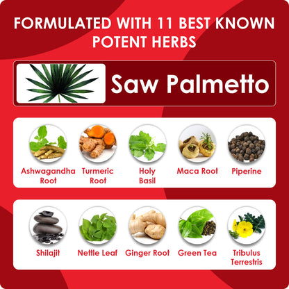 Saw Palmetto Extract Powder 90 Capsule