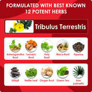Tribulus Terrestris Plus Extract Powder 90 Capsules