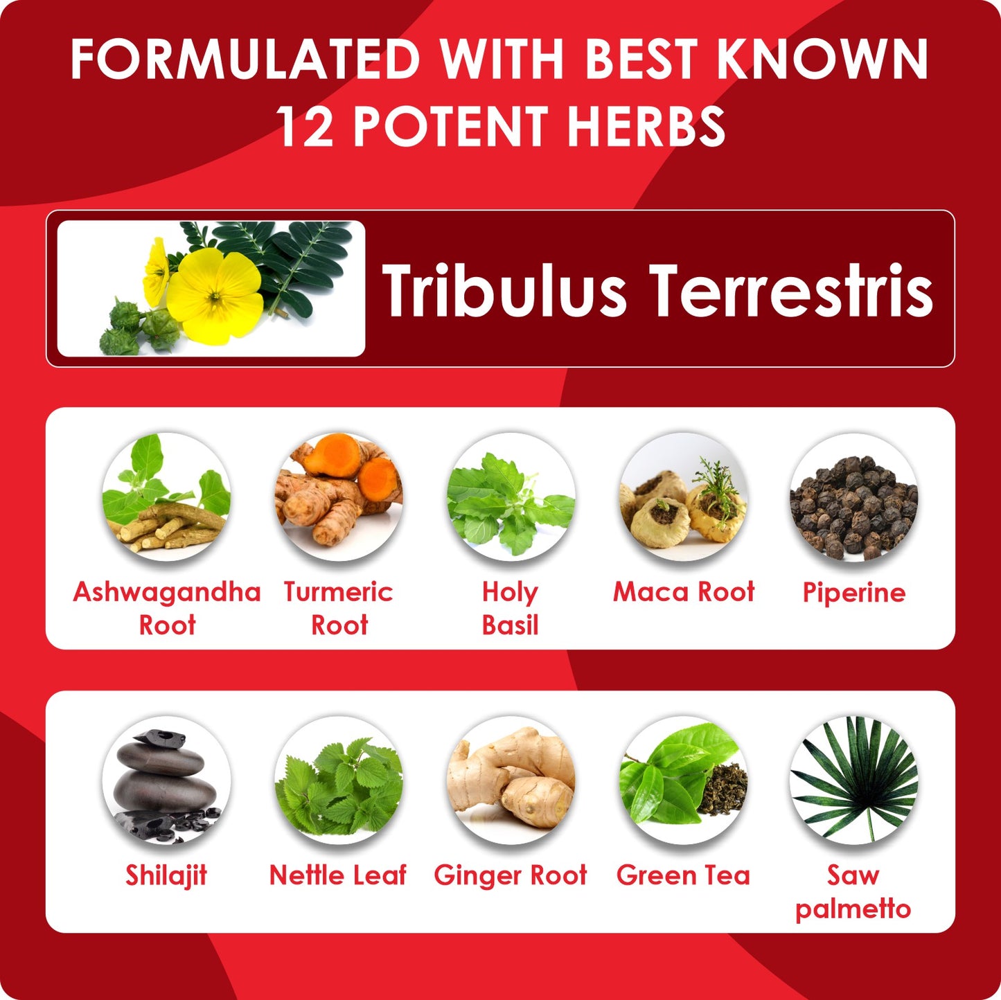 Tribulus Terrestris Plus Extract Powder 90 Capsules