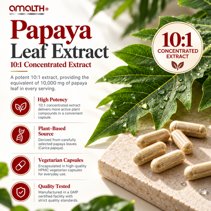Papaya Leaf Extract Digestive Enzymes 120 Veg Capsules