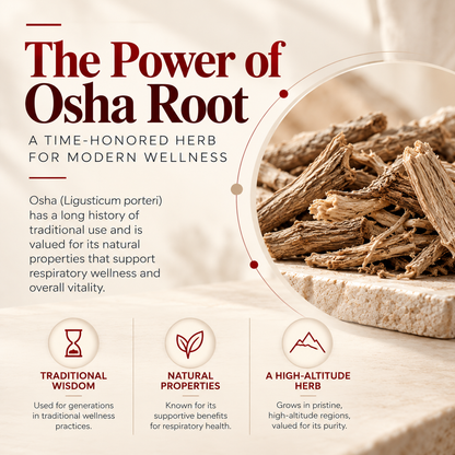 Osha Root 10:1 Extract (Ligusticum porteri), the ingredient in Amalth Osha Root Extract