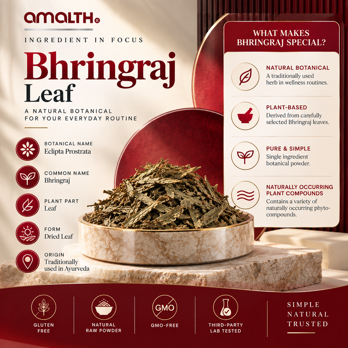 Bhringraj Leaf Powder (Eclipta prostrata), the ingredient in Amalth Bhringraj Leaf Powder