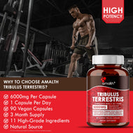 Tribulus Terrestris Plus Extract Powder 90 Capsules