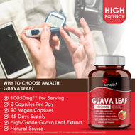 Guava Leaf Extract Powder 90 Capsules
