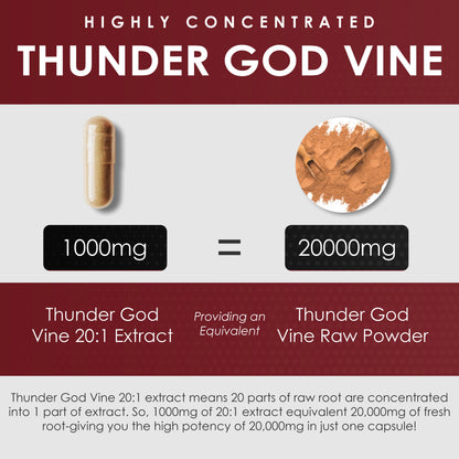Thunder God Vine Root Extract 15:1 Supplement 120 Capsules