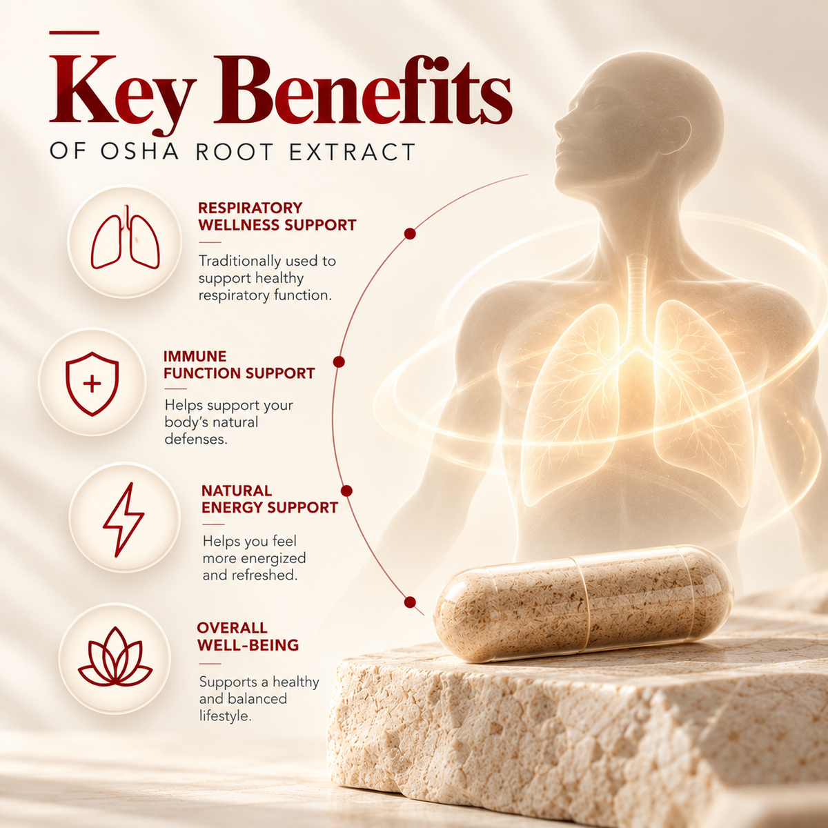 Amalth Osha Root Extract product highlights