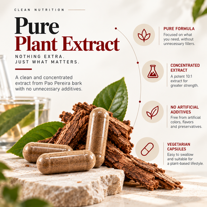 Raw pao pereira used to make Amalth Pao Pereira Bark Extract