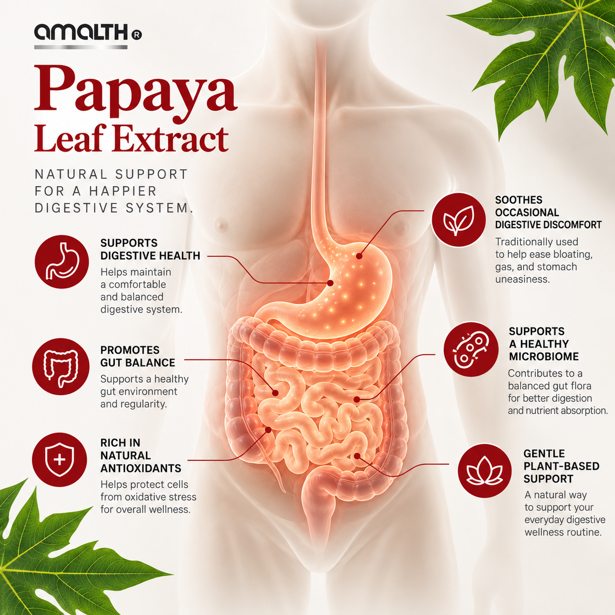 Papaya Leaf Extract Digestive Enzymes 120 Veg Capsules