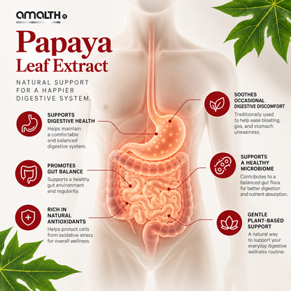 Papaya Leaf Extract Digestive Enzymes 120 Veg Capsules