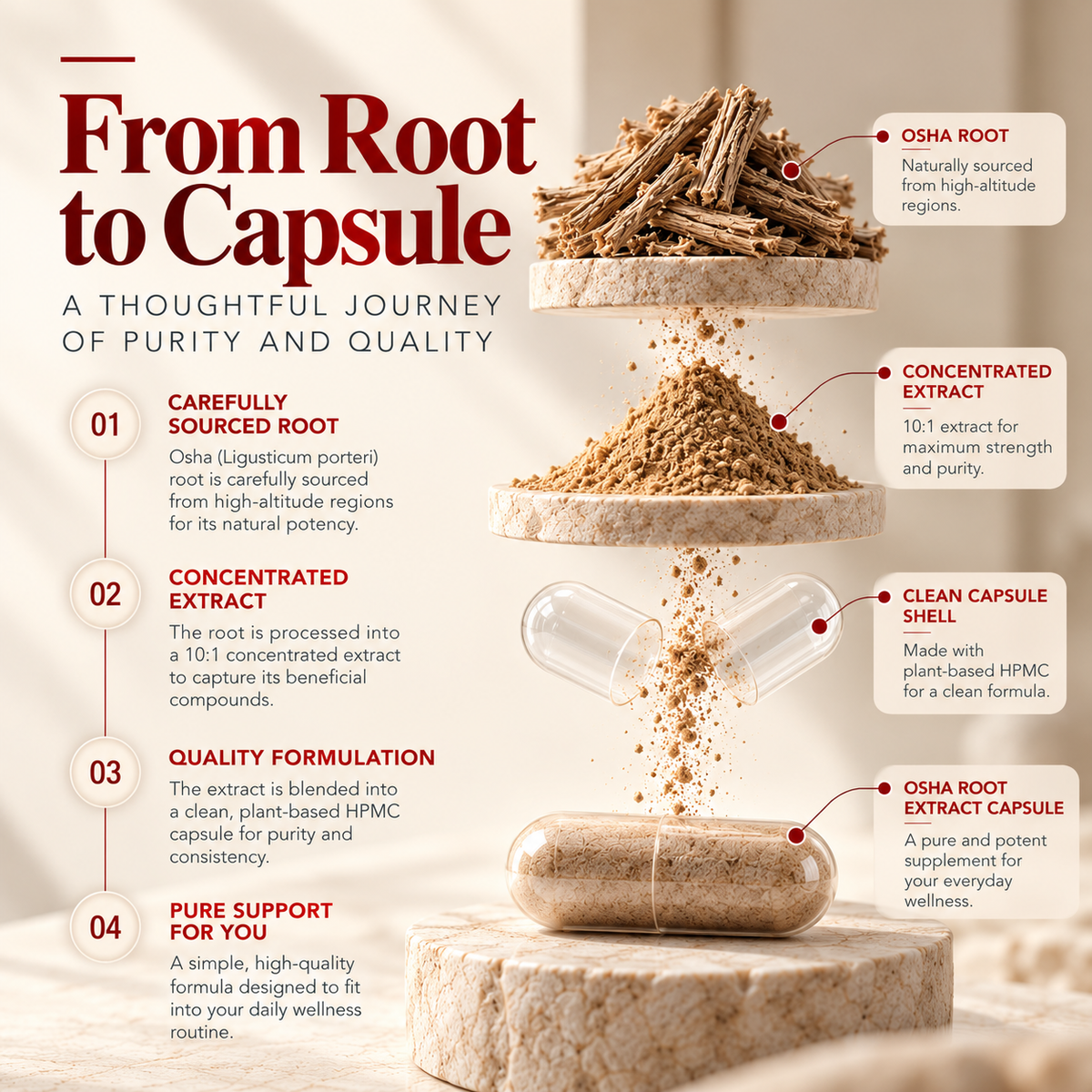 Raw osha root used to make Amalth Osha Root Extract