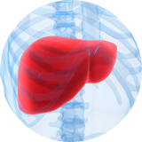 Metabolic Wellness